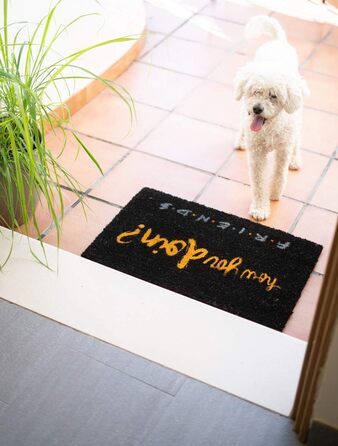 Килимок Grupo Erik Coconut Mat Килимок для дверей Friends How Do You Doin&39 - Килимок для бруду 40x60 см - Забавний килимок для дверей - Килимок для дверей в приміщенні How You Doin&39