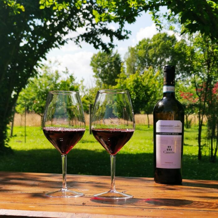 Пластикові келихи для вина WUITOKI, набір з 4-х штук, 51 мл, можна мити в посудомийній машині, не б'ються, не містять BPA, викорис