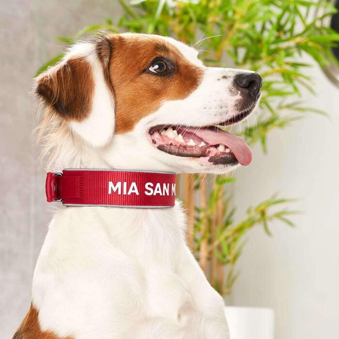 Гідрокостюм неопреновий з відбиваючими елементами FC Bayern, Розмір L-XL (65), Червоний L-XL (65)