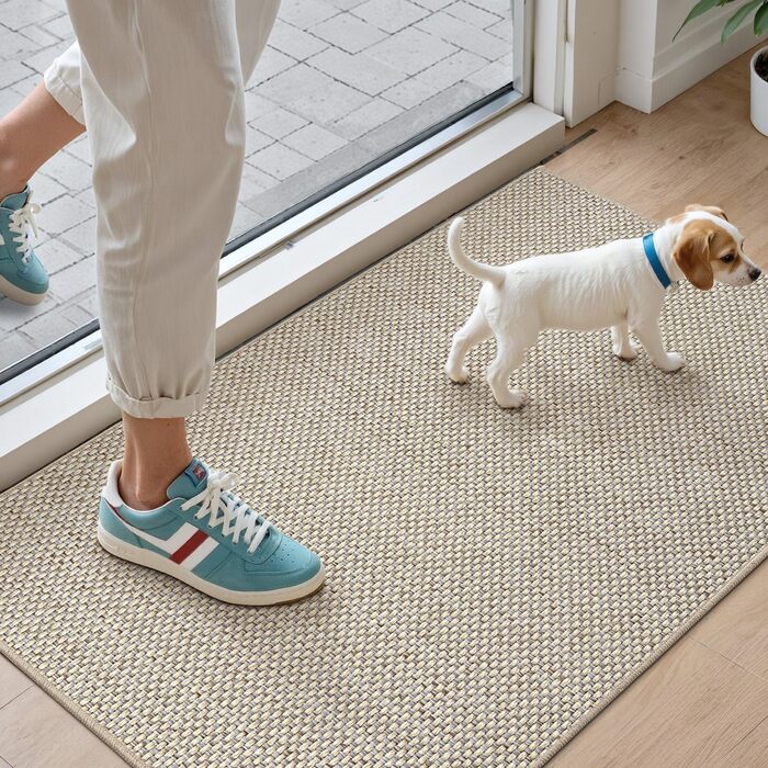 Килимок для внутрішніх дверей DEXI, що вловлює бруд, 60 x 90 см, нековзний килимок для миття, абсорбуючий килимок, тонкий вхідний килимок для вхідних дверей та коридору, бежевий 60 x 90 см