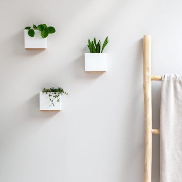 Настінні вази -Alma- Сучасні підвісні кашпо для квітів на стіну Набір кашпо з 3-х частин з високоякісної смоли для кімнатних росли