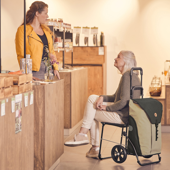Сумка-візок Andersen Komfort Shopper Ivar Blue (198-173-90)