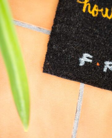 Килимок Grupo Erik Coconut Mat Килимок для дверей Friends How Do You Doin&39 - Килимок для бруду 40x60 см - Забавний килимок для дверей - Килимок для дверей в приміщенні How You Doin&39