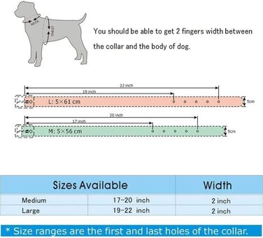 Нашийник для собак унісекс, шкіряний, з заклепками, середнього розміру, для пітбулів та доберманів, розміри M-L (L, Чорний) Чорний L