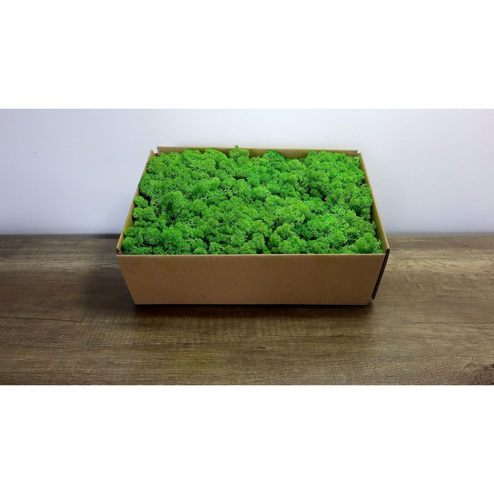 Ісландський норвезький мох Hello Moss 0,5/1 кг - консервований живий мох, повністю органічний - ідеальне прикраса з моху на Великдень, різдвяні прикраси - ремісничий мох, тераріумний мох (1 кг, зелене світло трави)