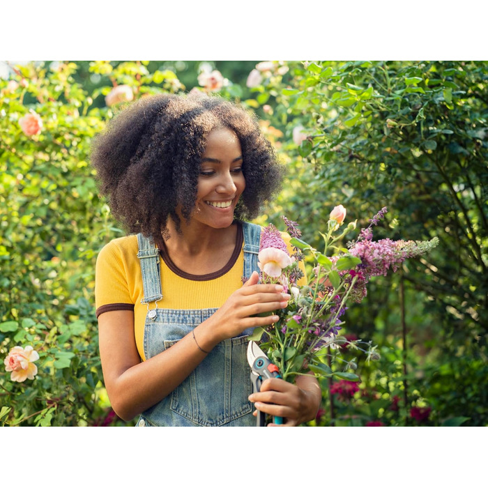 Садові ножиці Gardena ExpertCut Прецизійні ножиці для дерев, обхідний обріз гілок/гілок/фруктових дерев, максимальний діаметр різання 22 мм, 2-рівневе відкриття ручки (12203-20) Одинарні