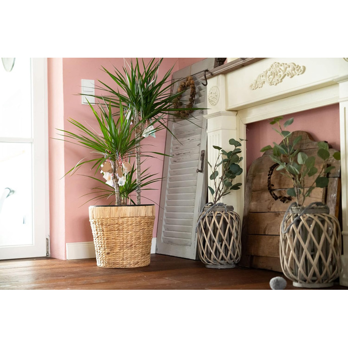 Декоративний квітковий горщик круглий, плетений з морської трави з пластиковою вставкою для посадки - горщик для рослин - 34см 1 3