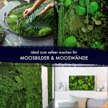 Мохові пластини GJS пластинчастий мох 100г/200г/500г справжні збережені, міцні килимки з моху для крафта, декоративний мох/плоский мох (пластинчатий мох, 100)