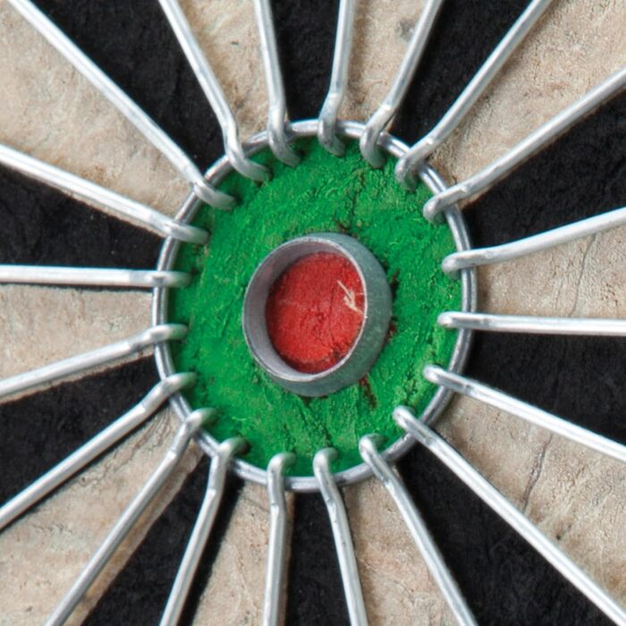 Набір мішені для дартсу Shot King (безскобне "яблучко" та обертове кільце)