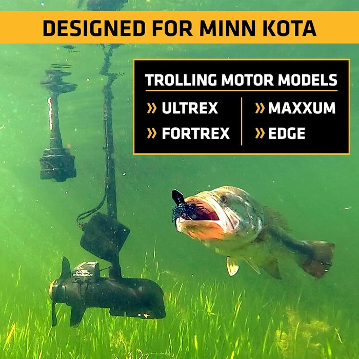 Фотографії, 2