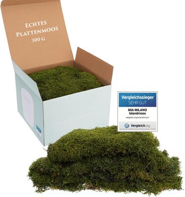 Пластинчастий мох довго зберігав природний зелений Декоративні стінові мохові панелі довговічні Картина з моху своїми руками зроби сам Килимок із натурального зеленого моху, 300 г, Living in Green