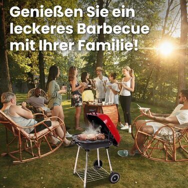 Мобільний вугільний гриль з кришкою на замок та нижньою полицею, на колесах для саду та відпочинку на природі, стаціонарний гриль, кемпінговий гриль, нержавіюча сталь