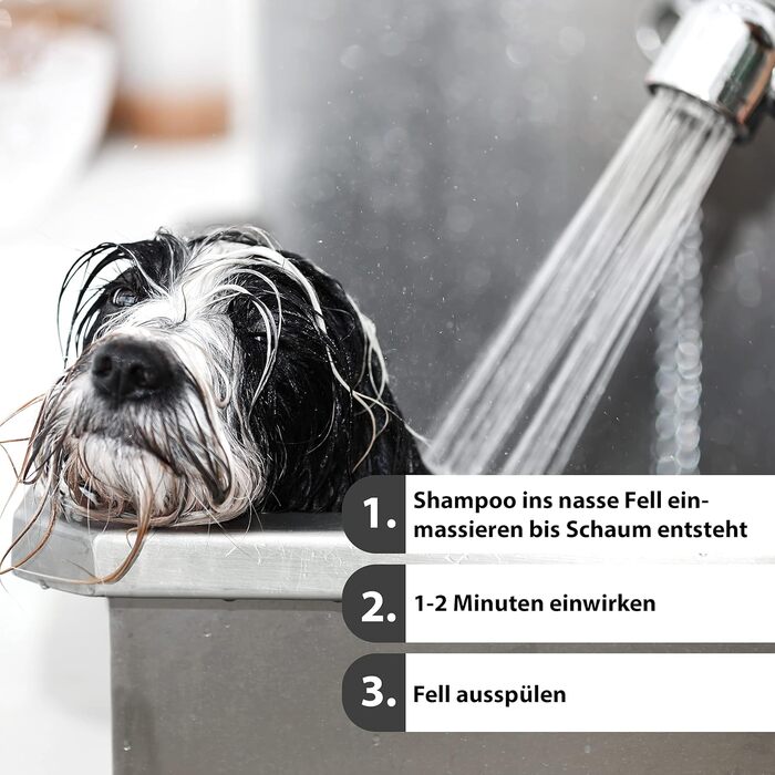 Шампунь для собак Jack & the Tub 500 мл Fresh Breeze - Black Edition, шампунь для собак з кондиціонером та свіжим ароматом