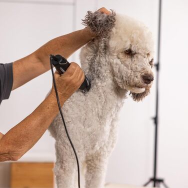 Машинка для стрижки собак Wahl Moser Max 50 з насадкою-гребінцем Agrarzone Edition - Потужна машинка для стрижки собак і котів для скуйовдженого хутра та довгого волосся - Тиха Max 50 з 2 рівнями потужності