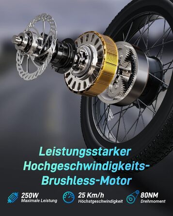 Електричний велосипед DYU C9 E-Bike для чоловіків та жінок - Електровелосипед з акумулятором 48 В 15,6 Аг, колесами 20 x 3,0 дюйма, 7-ступінчастою коробкою передач зі світлодіодним дисплеєм, двигуном 250 Вт та швидкістю 25 км/год, запасом ходу до 150 км, 