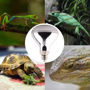 Теплова лампа DERNORD UVA UVB Ультрафіолетова лампа 80 Вт для Turtle House Gecko Bearded Dragons Terrarium Solar Spotlight Повний спектр денного світла E27 Цоколь (100,0 Вт)