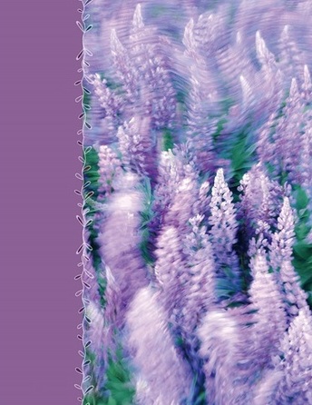 Фотоальбом UFO 10x15x200 PP-46200 Lavenders  (7061927)