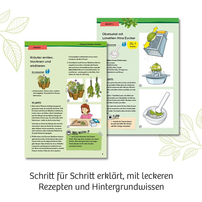 Набір для експериментів Herb Garden KOSMOS, вирощування трав