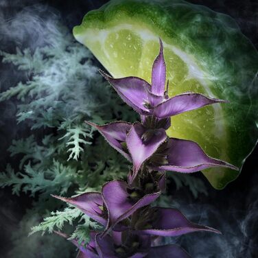 Туалетна вода Davidoff Champion (90 мл)