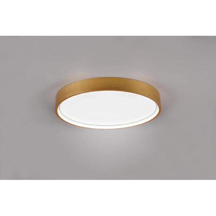 Стельовий LED-світильник Trio Leuchten Doha 641310208, матова латунь, акрил, LED 29 Вт