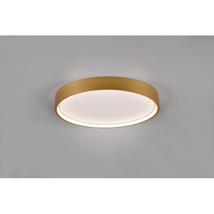 Стельовий LED-світильник Trio Leuchten Doha 641310208, матова латунь, акрил, LED 29 Вт