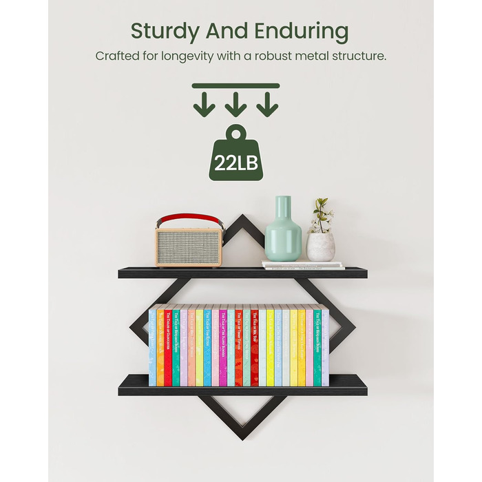 Настінна полиця, комплект з 2 шт., плаваюча полиця, 2-рівневі підвісні полиці, для вітальні, спальні, кухні, офісу, чорна DTBJ01P2BB 2 Чорний