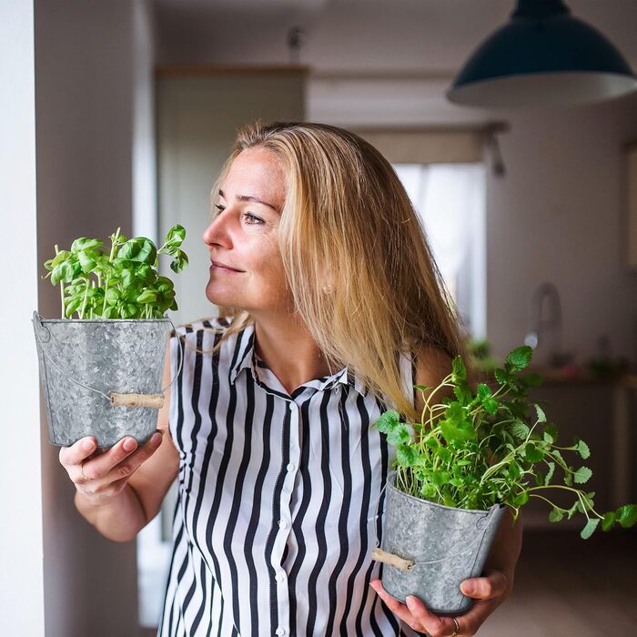 Набір із 5 цинкових горщиків Relaxdays, горщик для трав для кухні, балкону та саду, відро для квітів з оцинкованого металу з ручкою, сріблястий