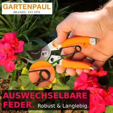 Набір садових ножиць, малий та великий, професійні гібридні садові ножиці з двостороннім механізмом, тріскачка 2.0 з двома приводами жіночі ножиці для маленьких рук, садовий інструмент з тріскачкою, ножиці для рослин, ножиці для квітів