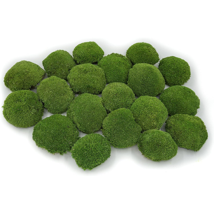 Кульковий мох, кульковий мох, консервований у 3-х різних кольорах, справжній міцний натуральний продукт для виготовлення мохових картин, займає площу 30х30 см - 0,10 м (світло-зелений)