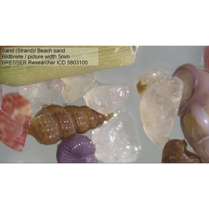 Мікроскоп Bresser Researcher ICD LED 20x-80x (5803100)