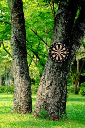 Мішень для дротиків Stagecaptain DBS-1715C Bullseye Champion з дротиками - Професійна сталева мішень для дротиків з сизалю - Мішень для дротиків з надтонкими дротами - Мішень для дротиків з 6 дротиками та 4 наборами дергань