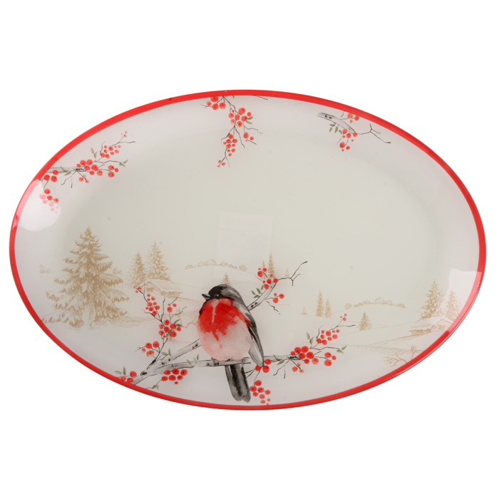 Блюдо Viva NY Winter Bird, 30х20 см (7109502)