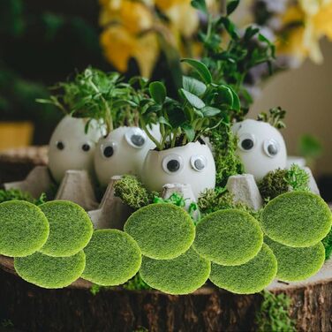 И кулькового моху, штучного моху, мохового кулькового садового каміння, декоративного моху, зеленого моху для рукоділля, збереженого зеленого моху для квіткових композицій, казкових садів, тераріумів і ремесел, 22 шт.