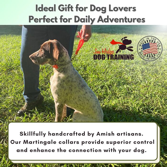 Нашийник-мартингал для собак, Biothane, фурнітура з нержавіючої сталі, проти висмикування, професійна якість, розмір M, помаранчево-червоний у зигзаг (Sunset Chevron), середній розмір