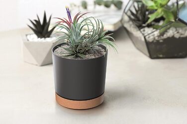 Горщик для квітів Tymar з блюдцем, 2 шт. , декоративний пластиковий горщик для рослин, сучасний, круглої форми, для внутрішнього в