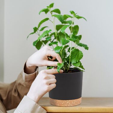 Горщики для квітів 2 шт. 12,7 см,Горщики для кімнатних рослин з дренажними отворами та знімною основою,Блюдце сучасне декоративне