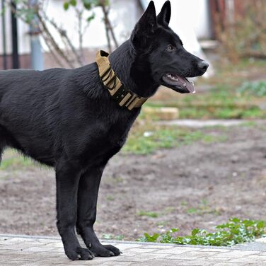Тактичний нашийник Tacticollar для собак середніх та великих порід, 5,1 см, з ручкою для контролю, нейлон Mil Spec, металевий замок швидкого роз'єму, внутрішня підкладка з неопрену (Розмір M, Оливковий)