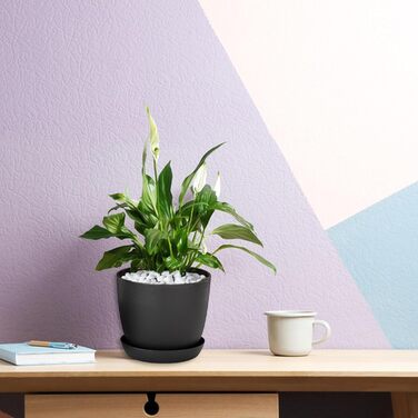 Квіткові горщики пластикові маленькі, товщина квіткового горщика, пластикові горщики для рослин круглі з блюдцем для сукулентів ма