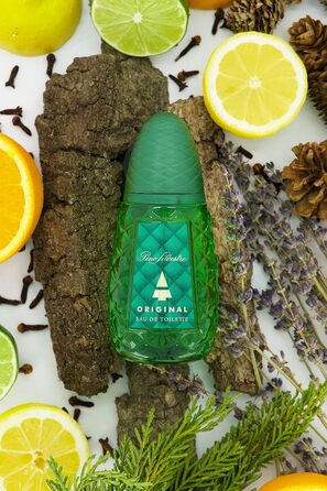 Чоловіча туалетна вода Pino Silvestre Original (125 мл)