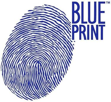 Комплект гальмівних дисків Blue Print ADG043136, 2 шт.