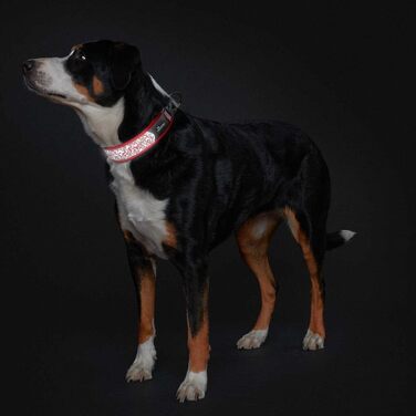 Червоний/сірий червоний/сірий XL