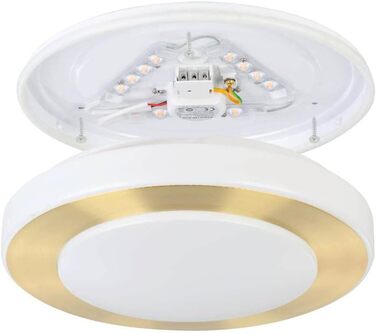 Стельовий LED-світильник EGLO Capri, сталь, білий та золотий