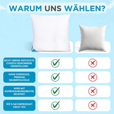 Подушки 80x80 см, комплект з 2 шт. Пухові подушки 80 x 80 см зі 100 натуральним пір&39яним наповнювачем, комплект пір&39яних подушок 80x80 см з гусячим пір&39ям у бавовняному чохлі, сертифіковані Oeko-Tex (2000) 2000 грамів
