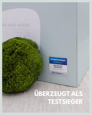 Шаровий мох зберігся Справжній мох для малюнків моху Міцний мох для рукоділля Водостійкий натуральний зелений ісландський мох (250г)