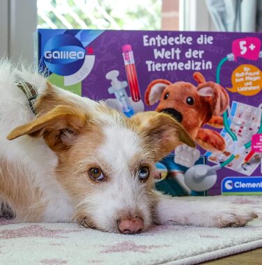 Навчальний набір Galileo Lab Clementoni, світ ветеринарної медицини