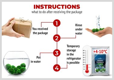 Ук моху, акваріумний мох, справжні мохові кульки для акваріумів, справжня кладофора, натуральні водні рослини для нано- та великих акваріумів, екологічно чисті та стійкі розміри кульок Marimo Moss Balls. 2-3 см, 1