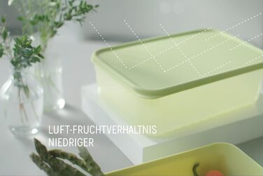 Контейнери для зберігання свіжих продуктів LocknLock Fresh Block з кришками набір із 2 контейнерів для зберігання продуктів, що штабелюються та не містять бісфенолу А можна використовувати в мікрохвильовій печі, морозильній камері та мити в посудомийній м