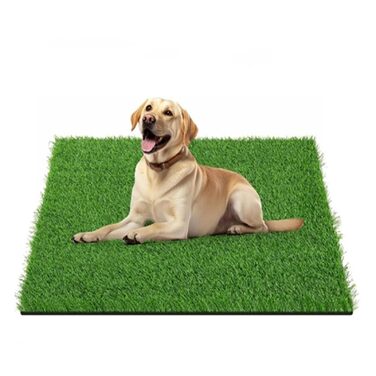 Туалет для собак, килимки зі штучної трави, килимок для дресирування собак, що миється, килимки для дресирування маленьких, великих та старших собак (45 * 60 см) 45 * 60 см