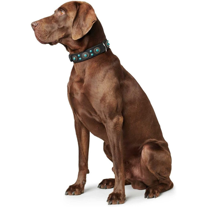 Нашийник для собак, шкіряний, в індіанському стилі, з кристалами, 55 (M), чорний чорний 55 (M)