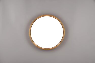 Стельовий LED-світильник Trio Leuchten Doha 641310208, матова латунь, акрил, LED 29 Вт